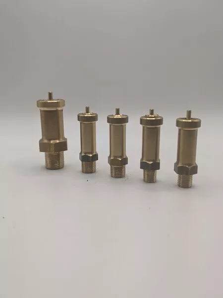 ME Ross Pop Live Steam Safety Valves - Image 3