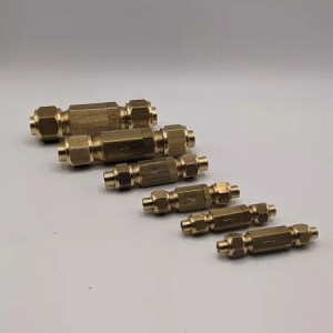 Inline Water Check Valves for Steam Engine